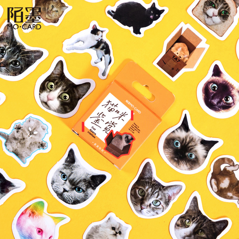 Verrückte Katzen Sticker, Sticker-Set "Crazy Cats" mit 45 mini Stickern