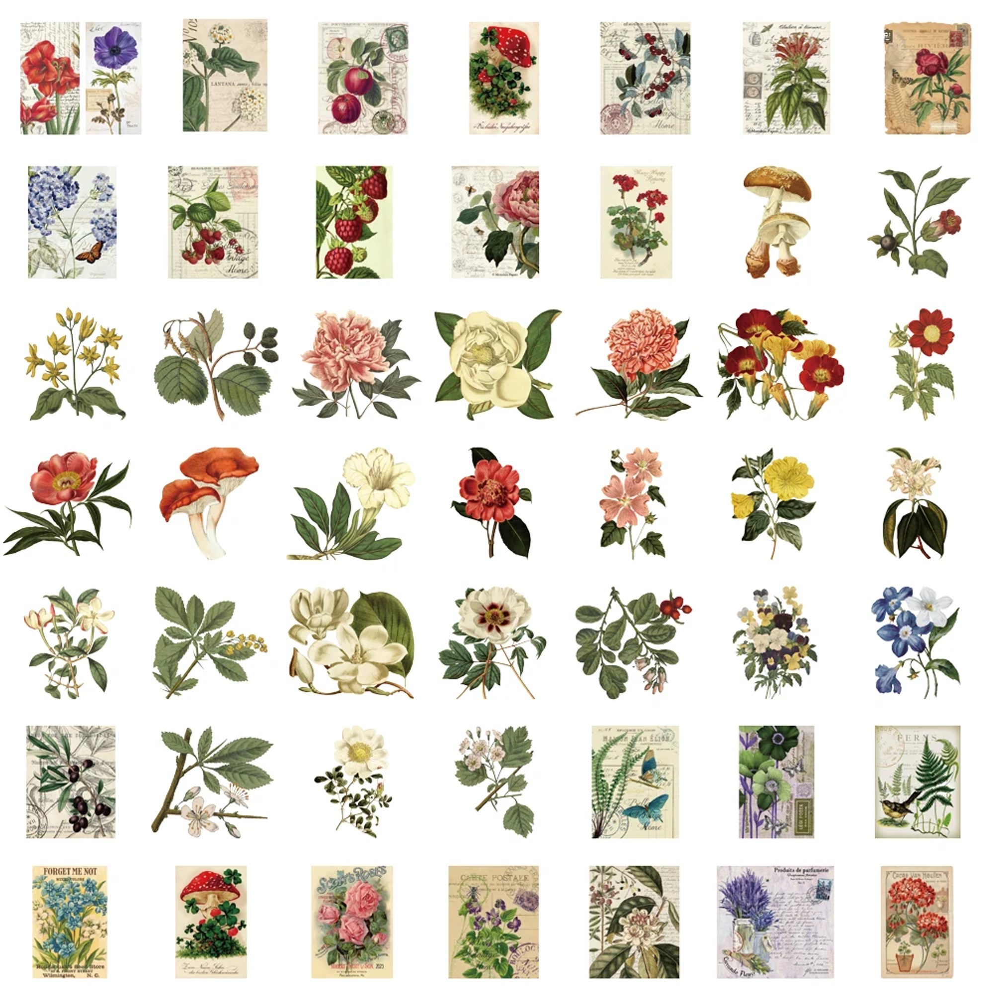 Botanische Pflanzen Sticker Set – 50 Aufkleber aus PET/PVC mit Blumen- und Pflanzenmotiven