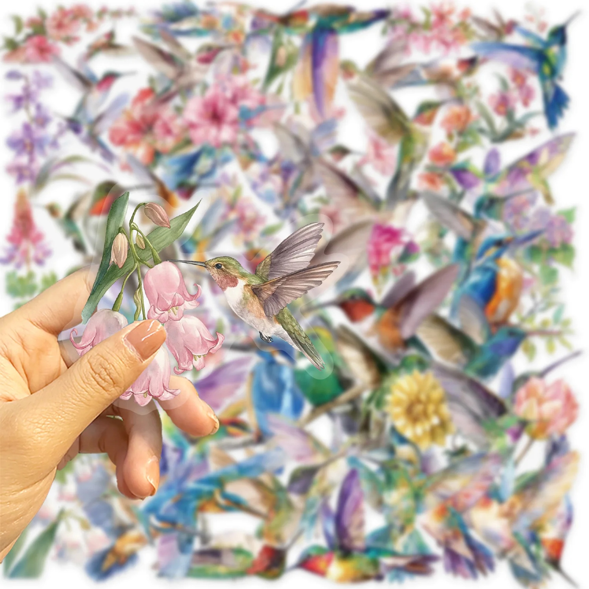 Kolibri Sticker Set transparent – 50 verschiedene Motive