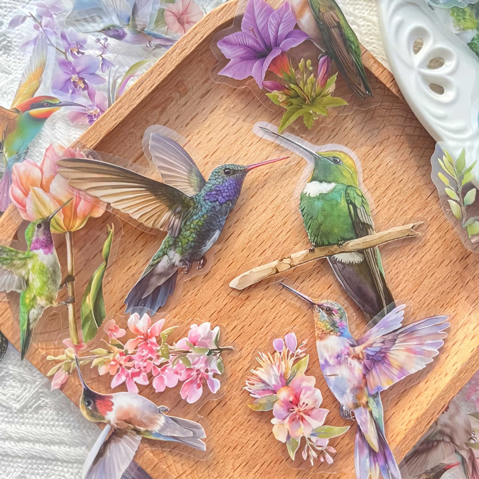 Kolibri Sticker Set transparent – 50 verschiedene Motive