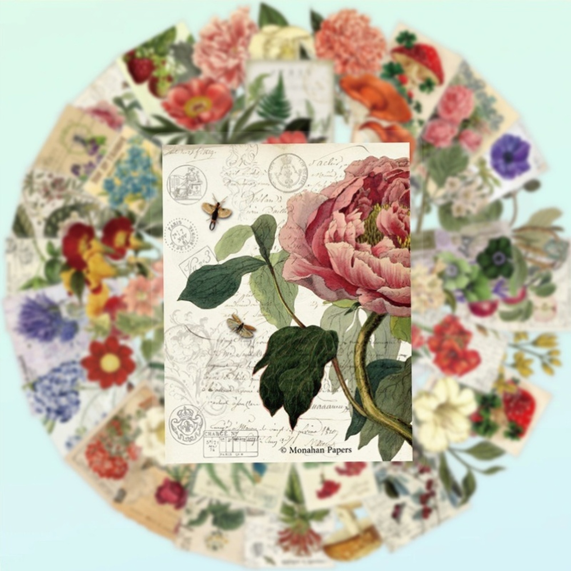 Botanische Pflanzen Sticker Set – 50 Aufkleber aus PET/PVC mit Blumen- und Pflanzenmotiven