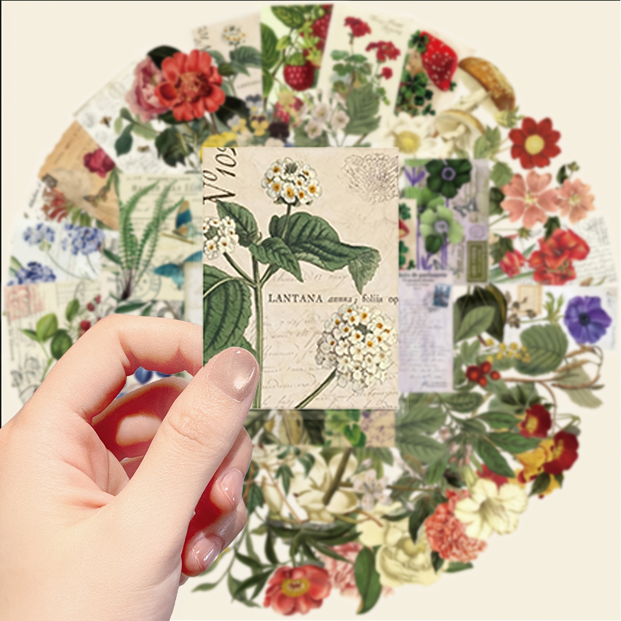 Botanische Pflanzen Sticker Set – 50 Aufkleber aus PET/PVC mit Blumen- und Pflanzenmotiven
