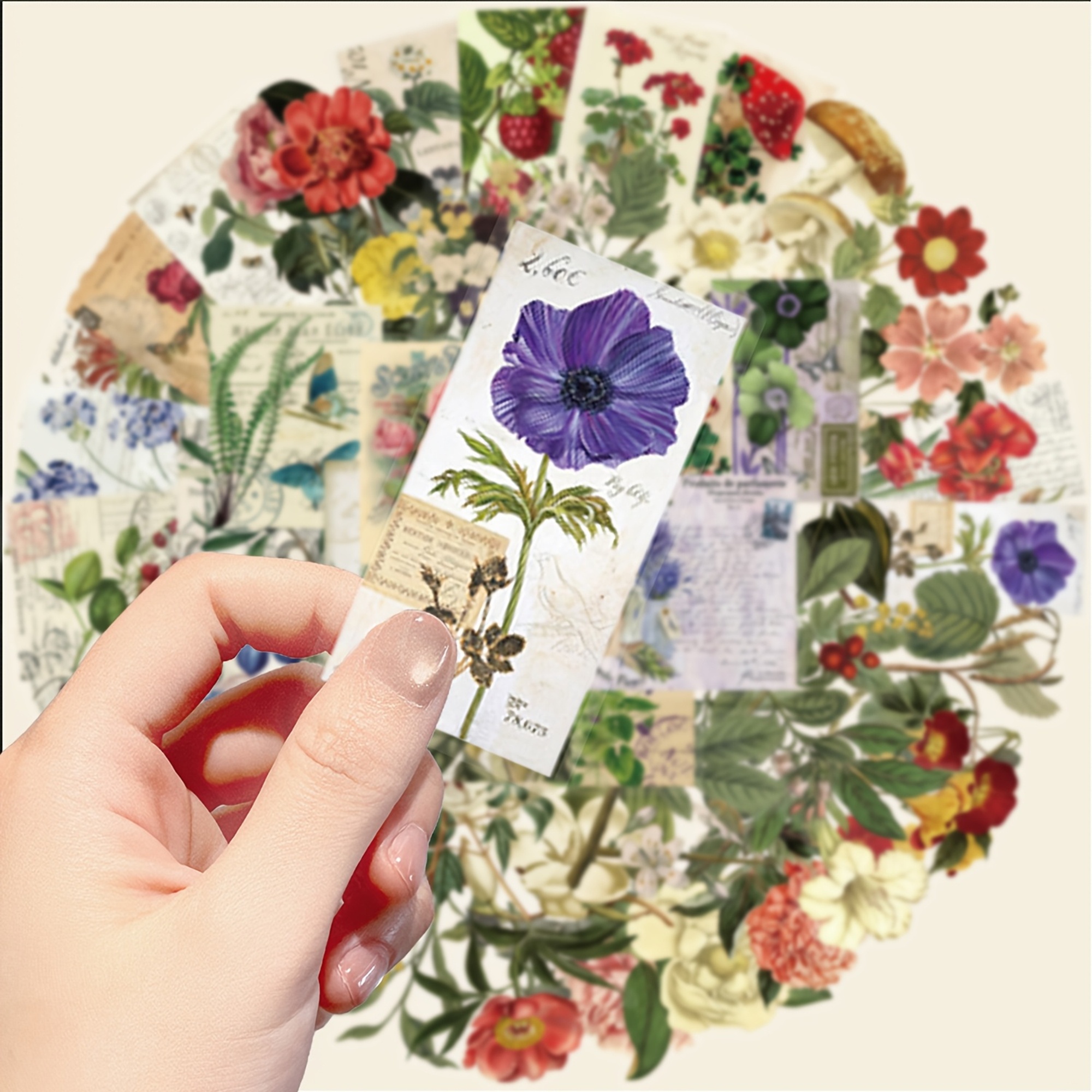 Botanische Pflanzen Sticker Set – 50 Aufkleber aus PET/PVC mit Blumen- und Pflanzenmotiven