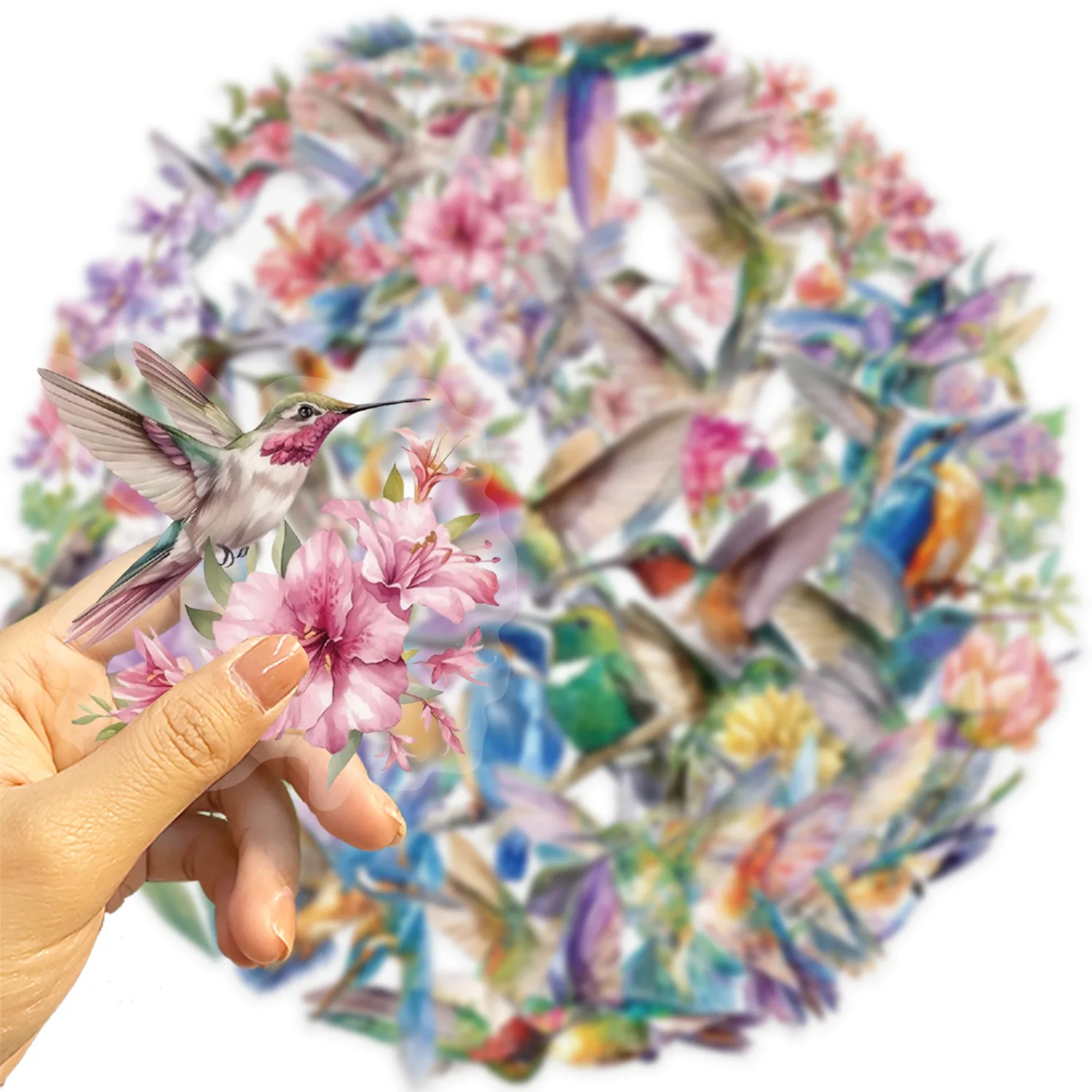 Kolibri Sticker Set transparent – 50 verschiedene Motive