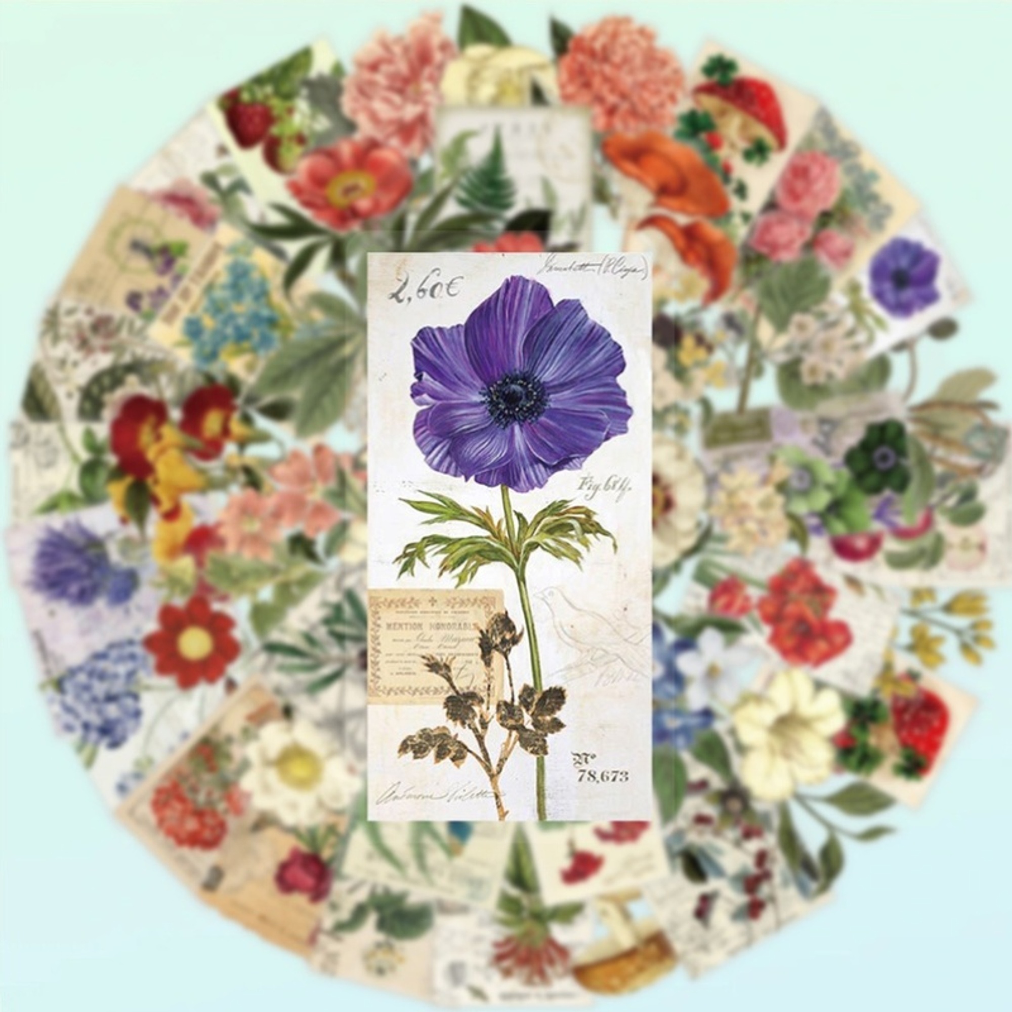 Botanische Pflanzen Sticker Set – 50 Aufkleber aus PET/PVC mit Blumen- und Pflanzenmotiven