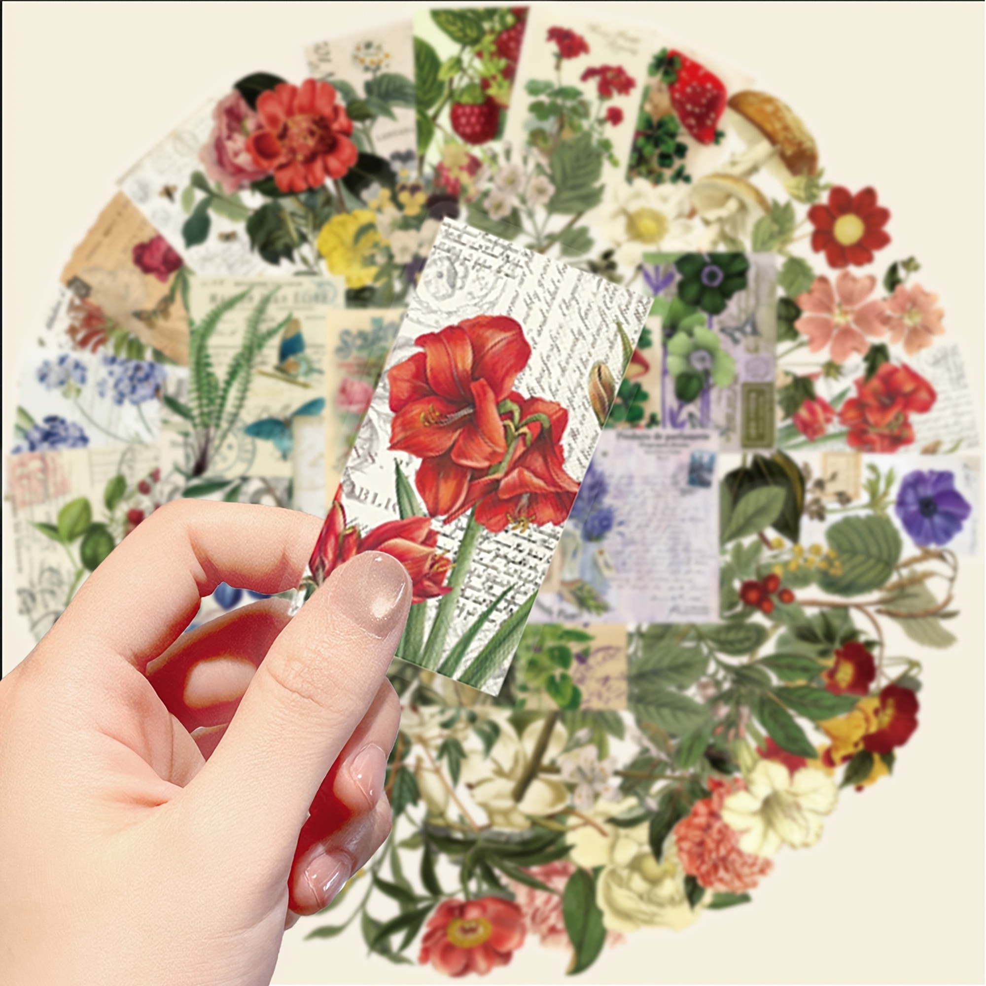 Botanische Pflanzen Sticker Set – 50 Aufkleber aus PET/PVC mit Blumen- und Pflanzenmotiven